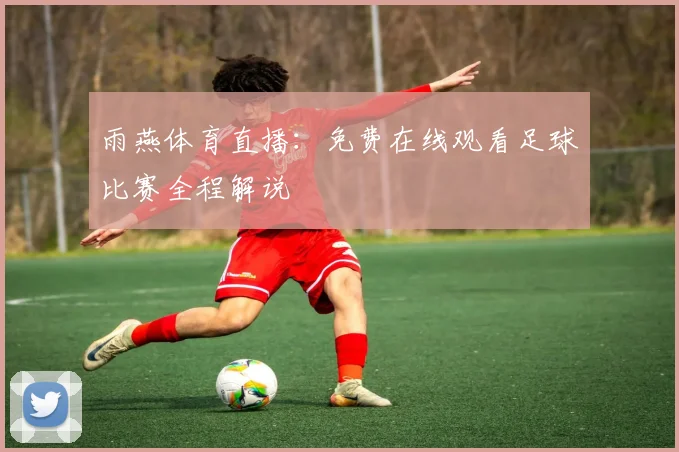 雨燕体育直播：免费在线观看足球比赛全程解说