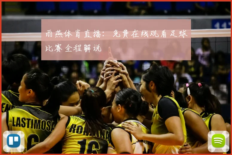 雨燕体育直播：免费在线观看足球比赛全程解说