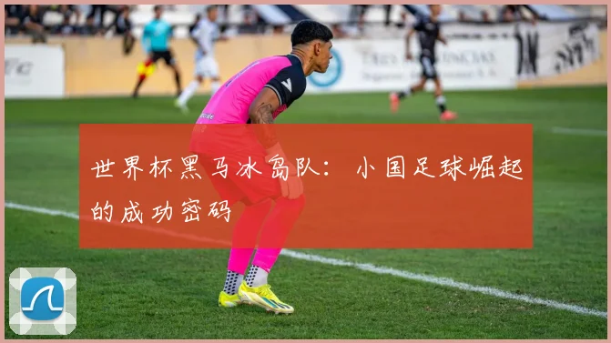 世界杯黑马冰岛队：小国足球崛起的成功密码