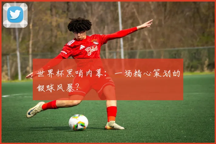 世界杯黑哨内幕：一场精心策划的假球风暴？