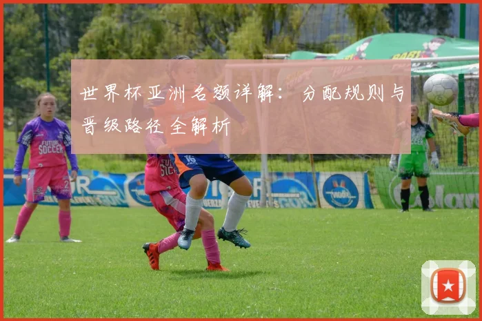世界杯亚洲名额详解:分配规则与晋级路径全解析