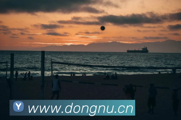 九游版官网入口平台生态图