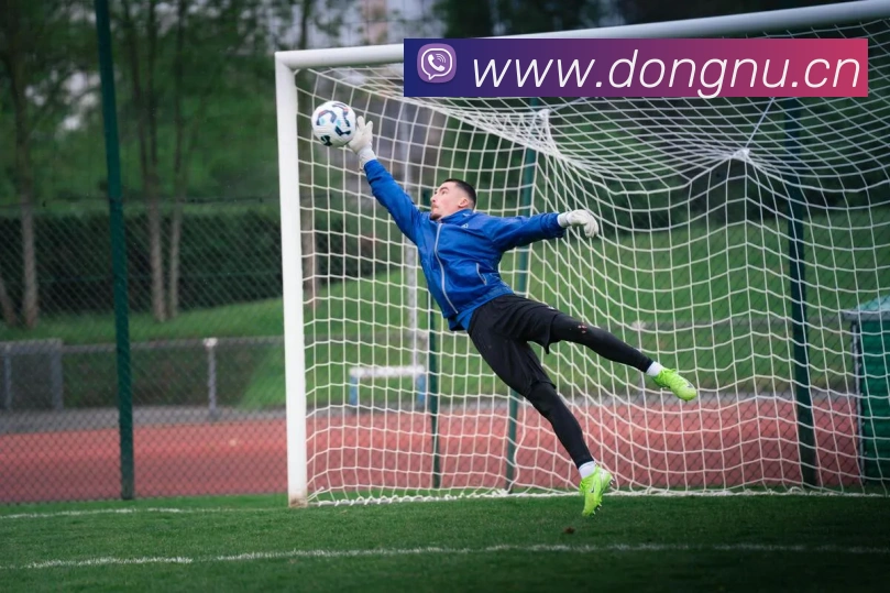 九游版官网入口全站App